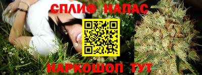 ПСИЛОЦИБИНОВЫЕ ГРИБЫ Тверь